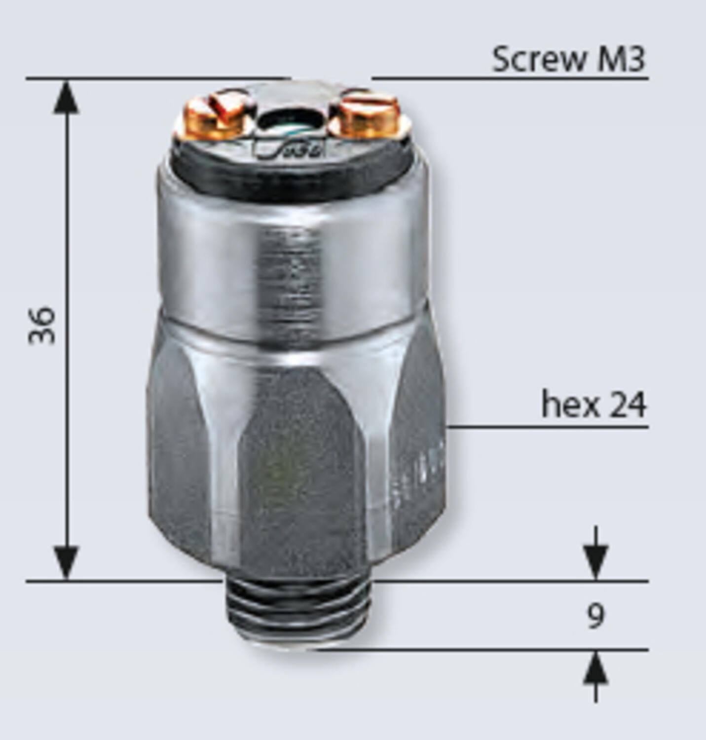 0166 dimensions screw.png