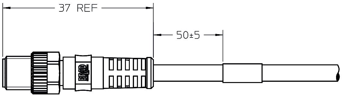M8_40x006B41Mxxx-1.tif