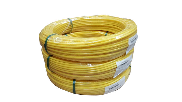 PA Yellow2.png