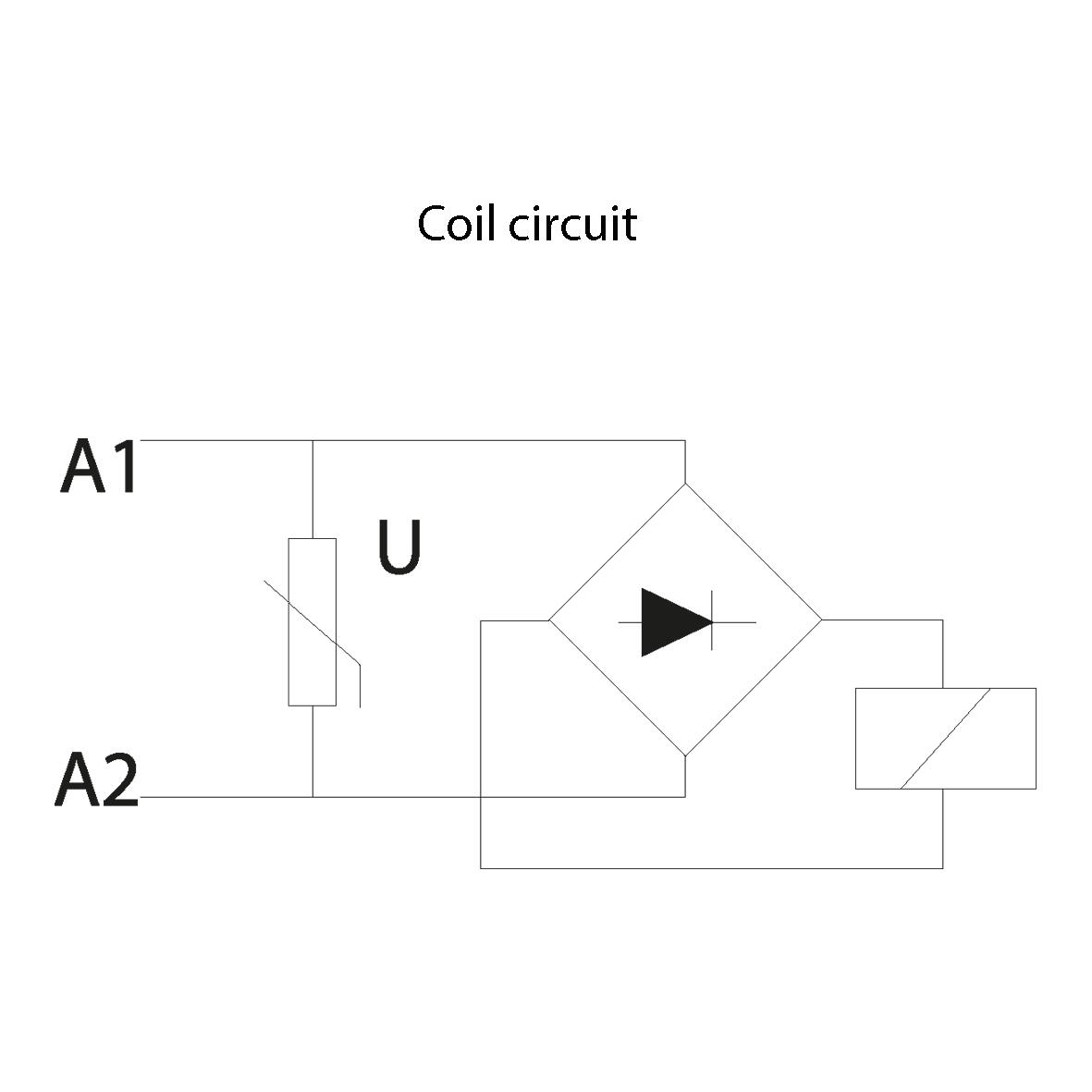 RIC20_coil circuit.tif