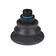 sugkopp_CBC60_0620.tif
